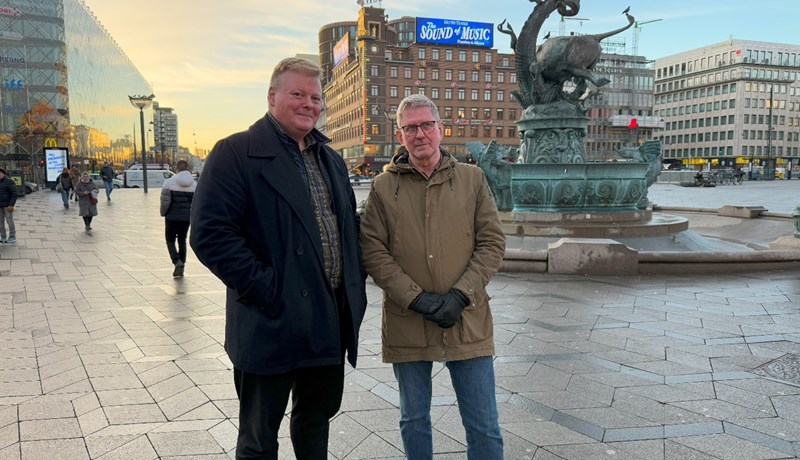 Skógvinir í Skandinavíu