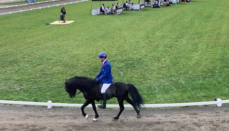 Dramatískur fimmgangur á HM í dag