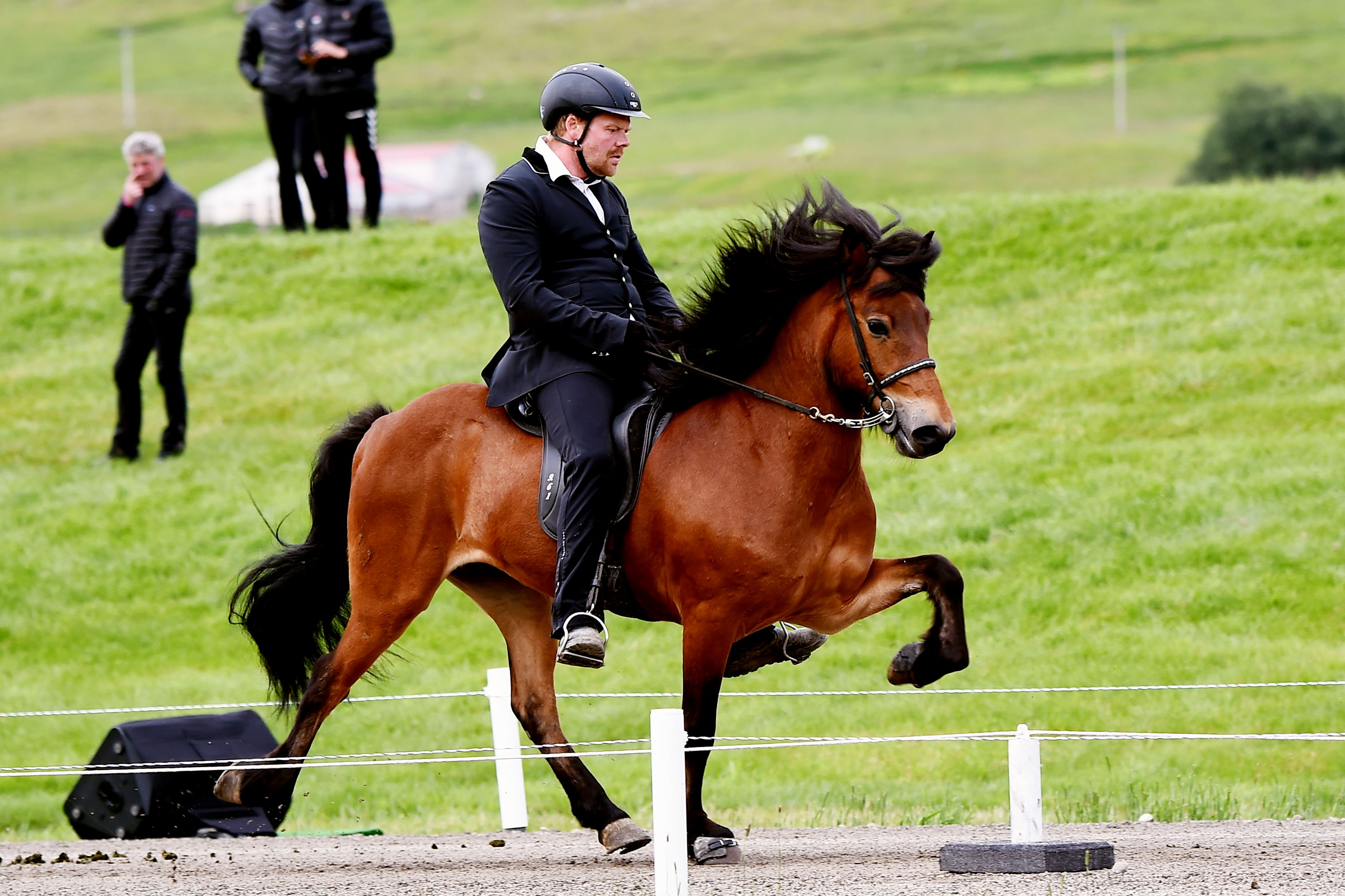 Fyrsta kynbótasýning ársins