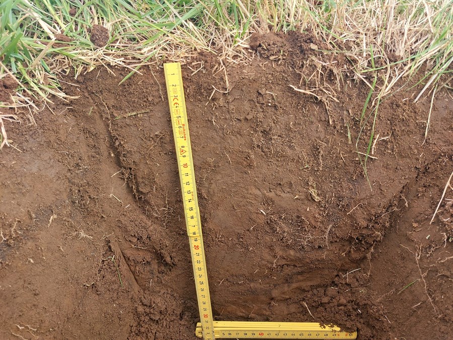 Jarðvegsheilbrigði