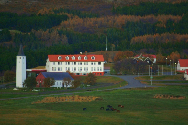 Fyrsti spretturinn á nýjum reiðvelli á Hólum