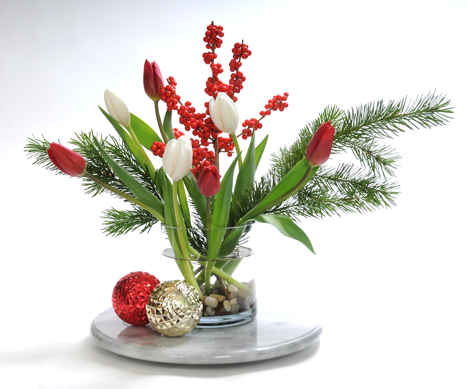 Túlípanar  um jólin