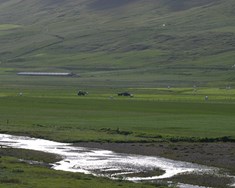 Vísnahornið
