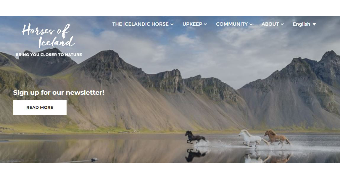 Meiri hrossaútflutningur á fyrri hluta ársins 2020 en í áratug