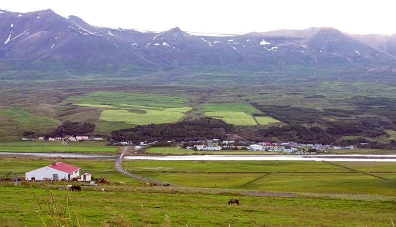 Skólamötuneyti noti sem mest af íslensku hráefni