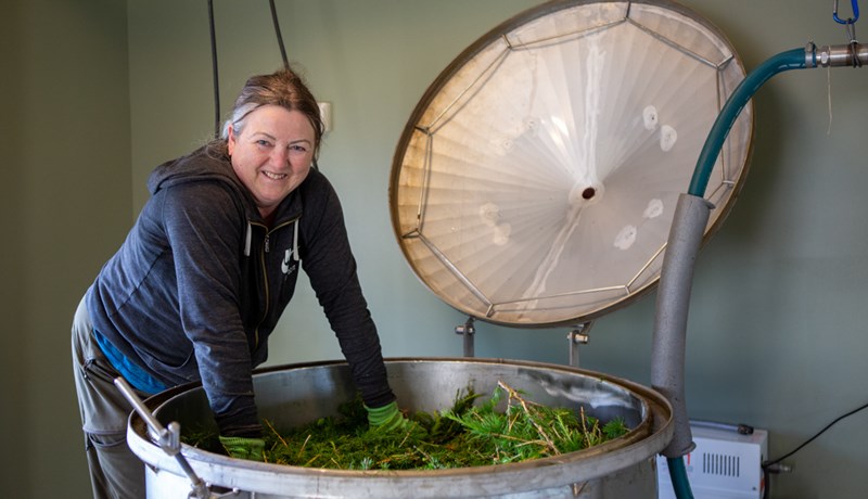 Íslensk framleiðsla á ilmkjarnaolíu