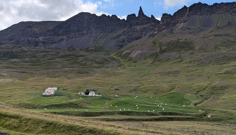 Hvíld í nýrri mold