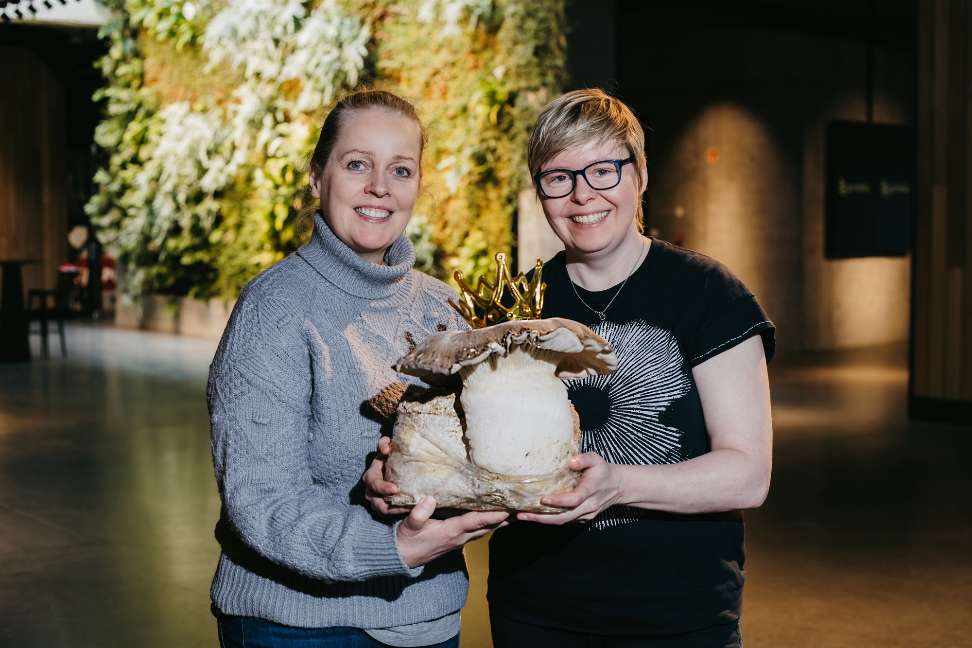 Einstakt ræktunarkerfi fyrir sælkerasveppi