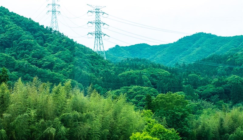 Hiti ógnar hrísgrjónarækt