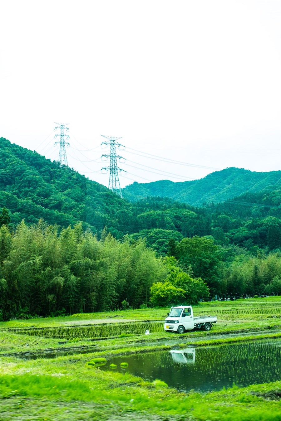 Hrísgrjónaakur í Japan. Hnattræn hlýnun hefur leitt af sér lakari uppskeru.