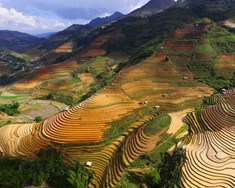 Verndar landbúnaðararfleifð heimsins