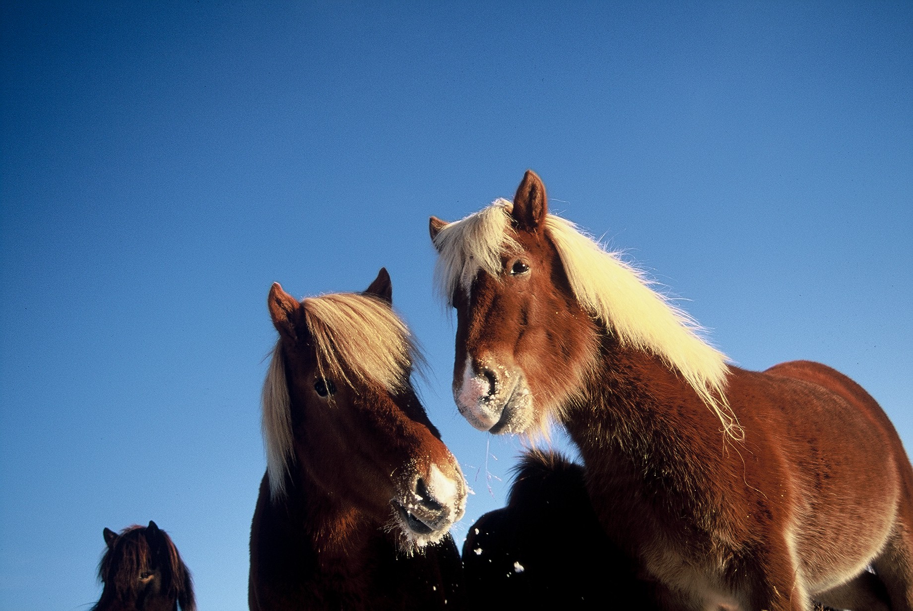 Eftirlit eftirlitsins vegna