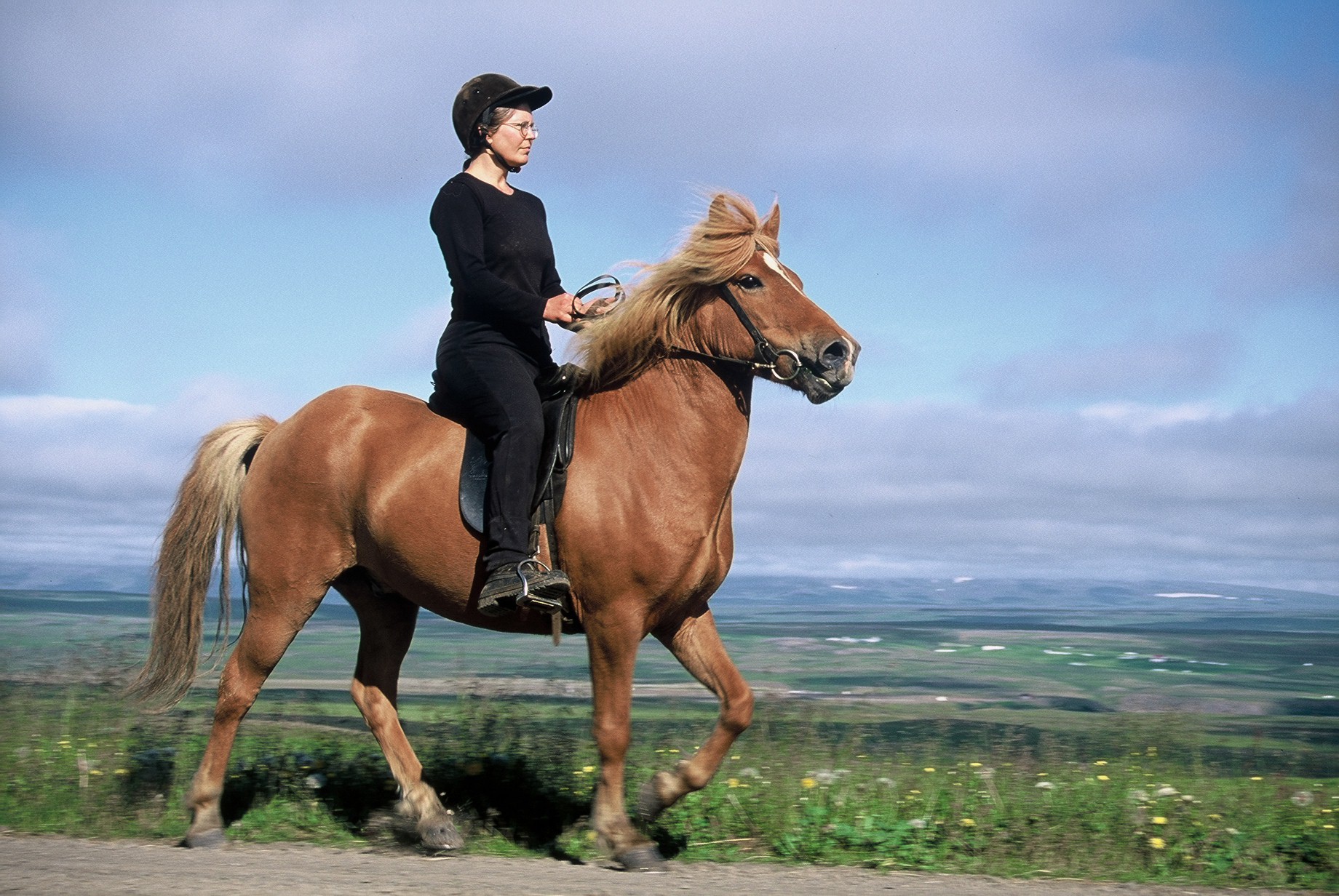 Nýtt ræktunartakmark í íslenskri hrossarækt