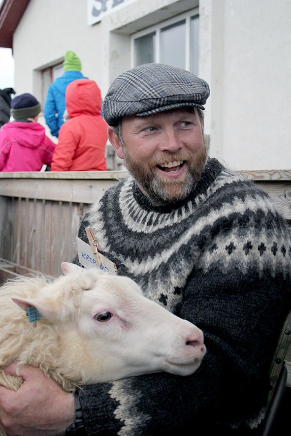 Frá Íslandsmótinu í hrútadómum árið 2015. Sverrir Guðbrandsson frá Bassastöðum og hrúturinn Kroppur.