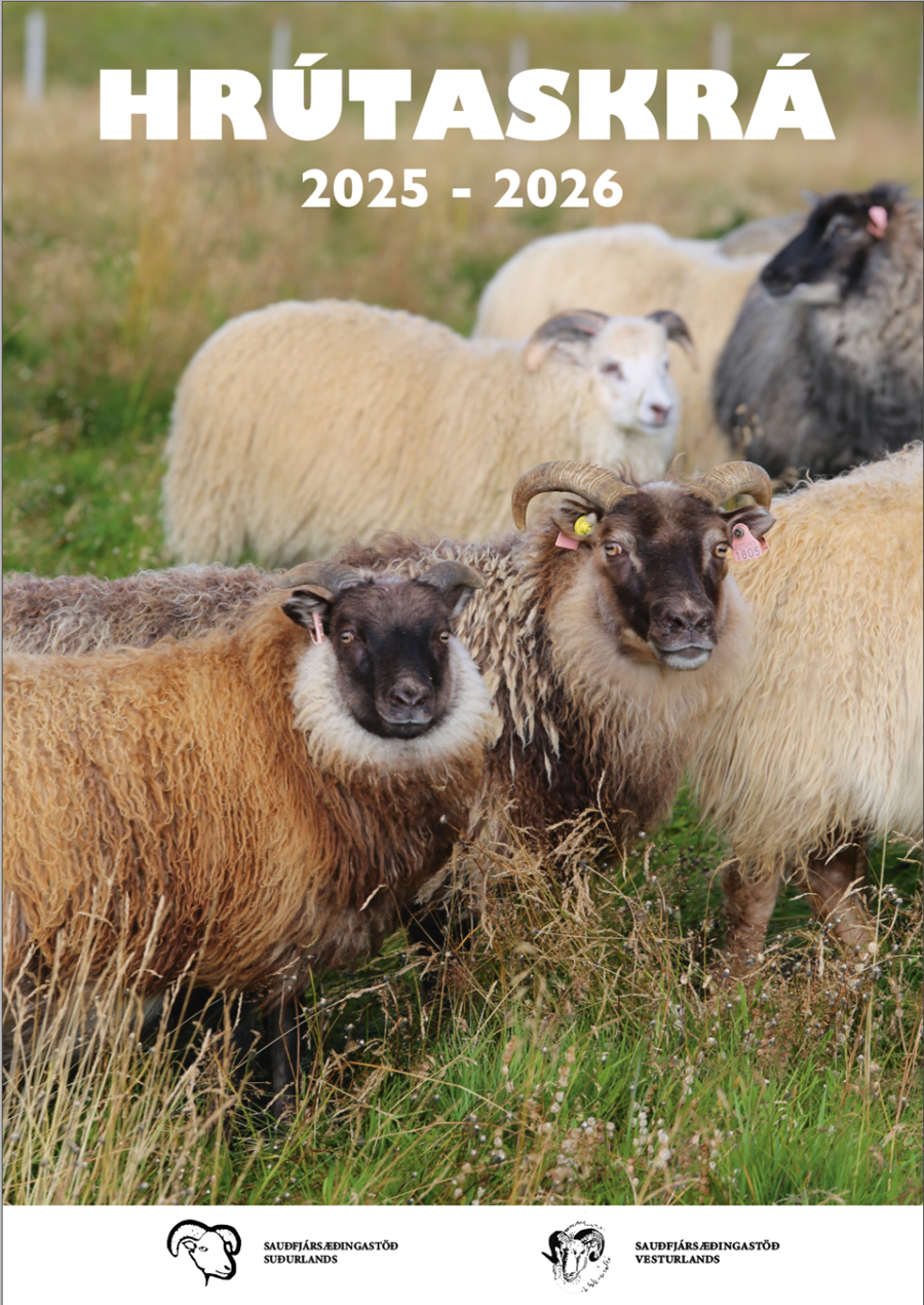 Senn líður að hrútafundum