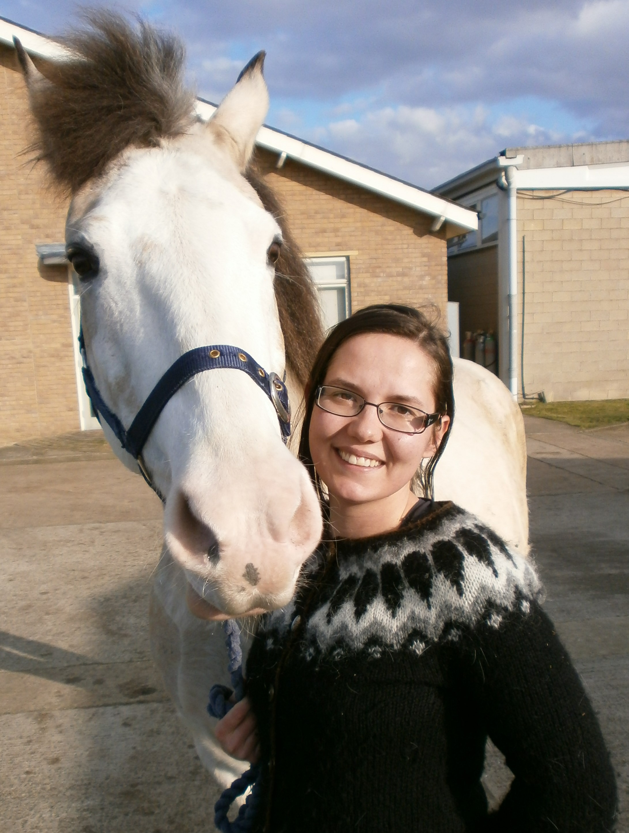 Vantar fola til geldingar