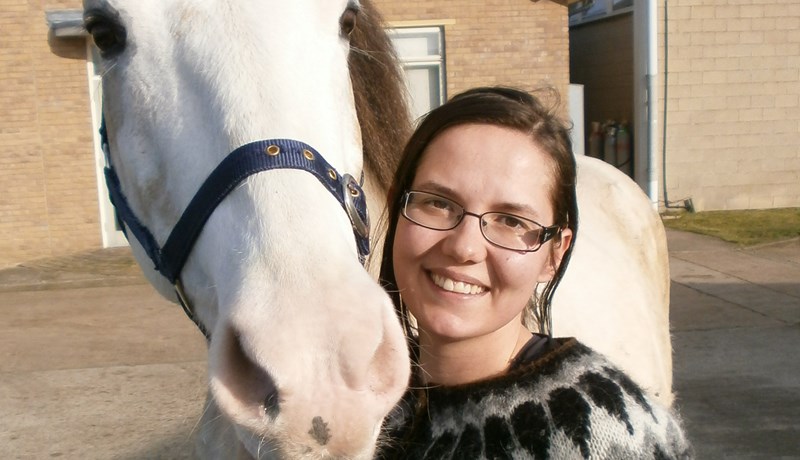 Vantar fola til geldingar
