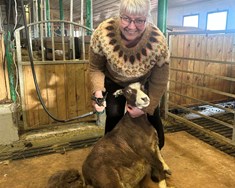 Samkeppni um hönnun lopapeysu fyrir kvenbændur