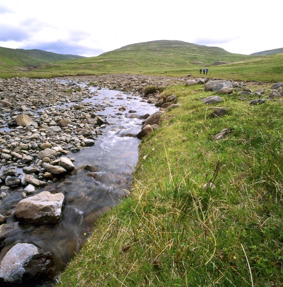 Í Hundadal. Njóladalur vinstra megin og Eyðisdalur hægra megin við Tungufell. Þjóðlendukrafa hefst „þar sem Njóladalsá og Eyðisdalsá koma saman“ og nær allt suður að vatnaskilum við Mýrasýslu.