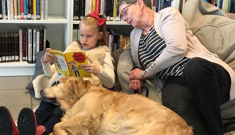 Lesið fyrir hunda á sex bókasöfnum