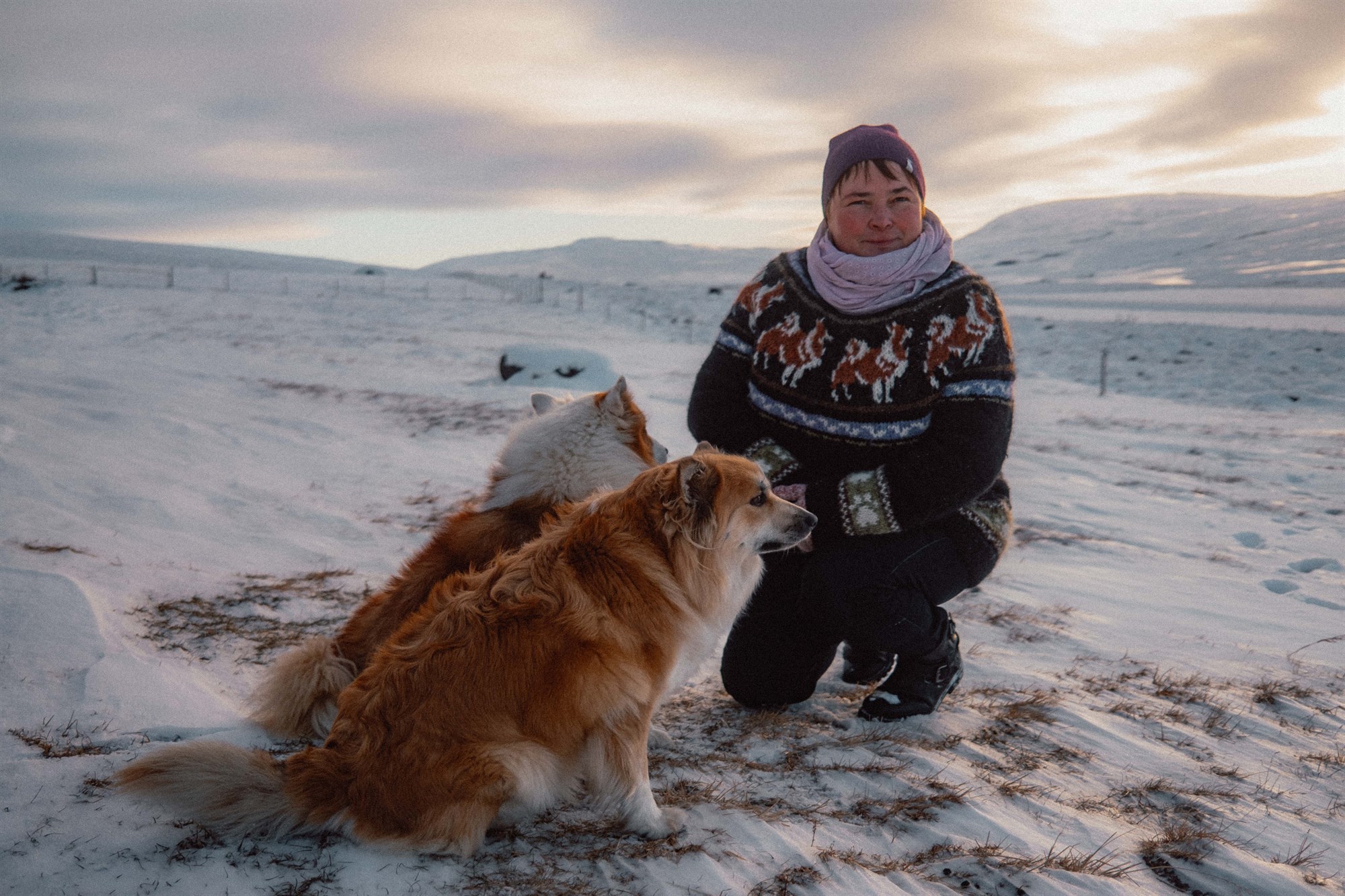 Sögusetur íslenska fjárhundsins opnað