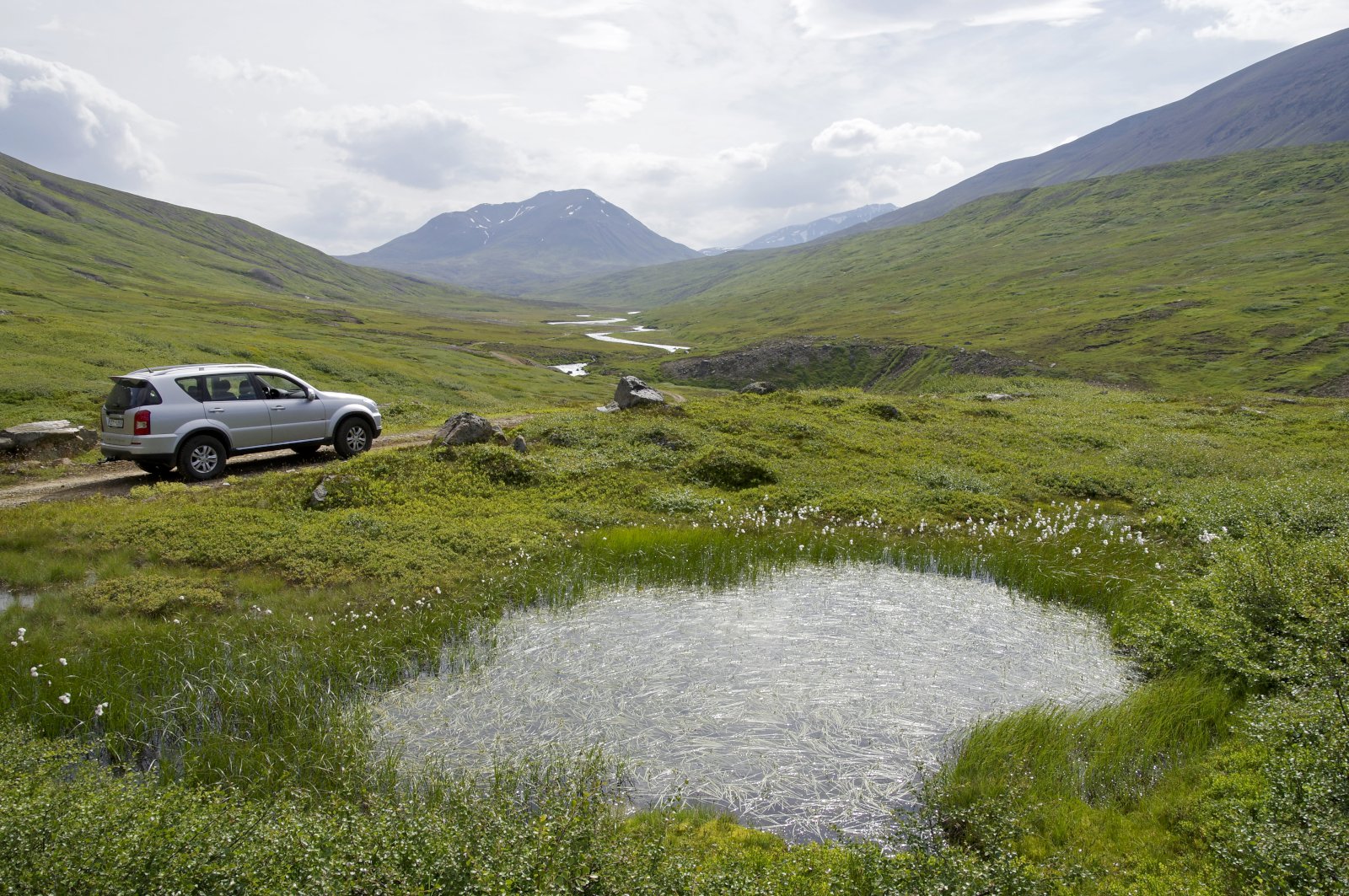 Hugleiðingar um losun og bindingu kolefnis í votlendi