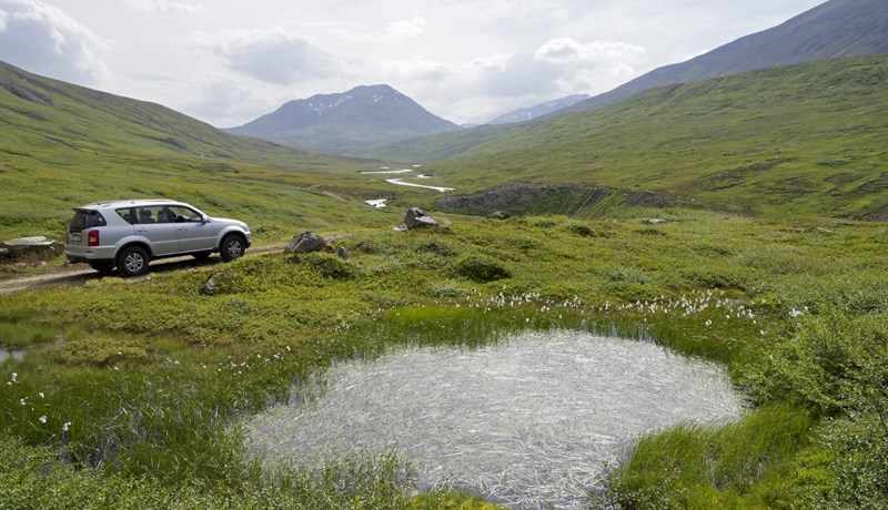 Hugleiðingar um losun og bindingu kolefnis í votlendi