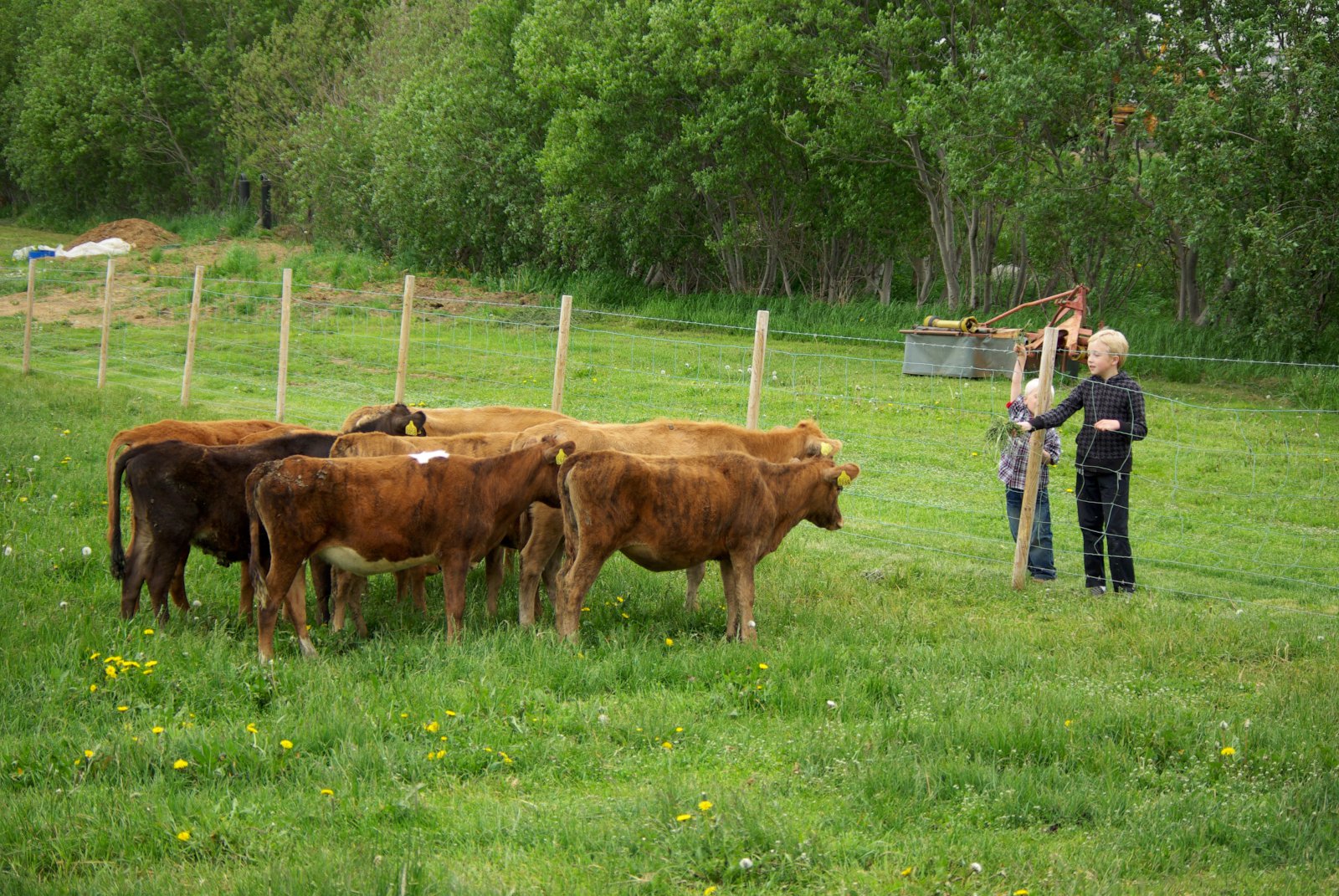 Meira vinnuhagræði – minni sóun