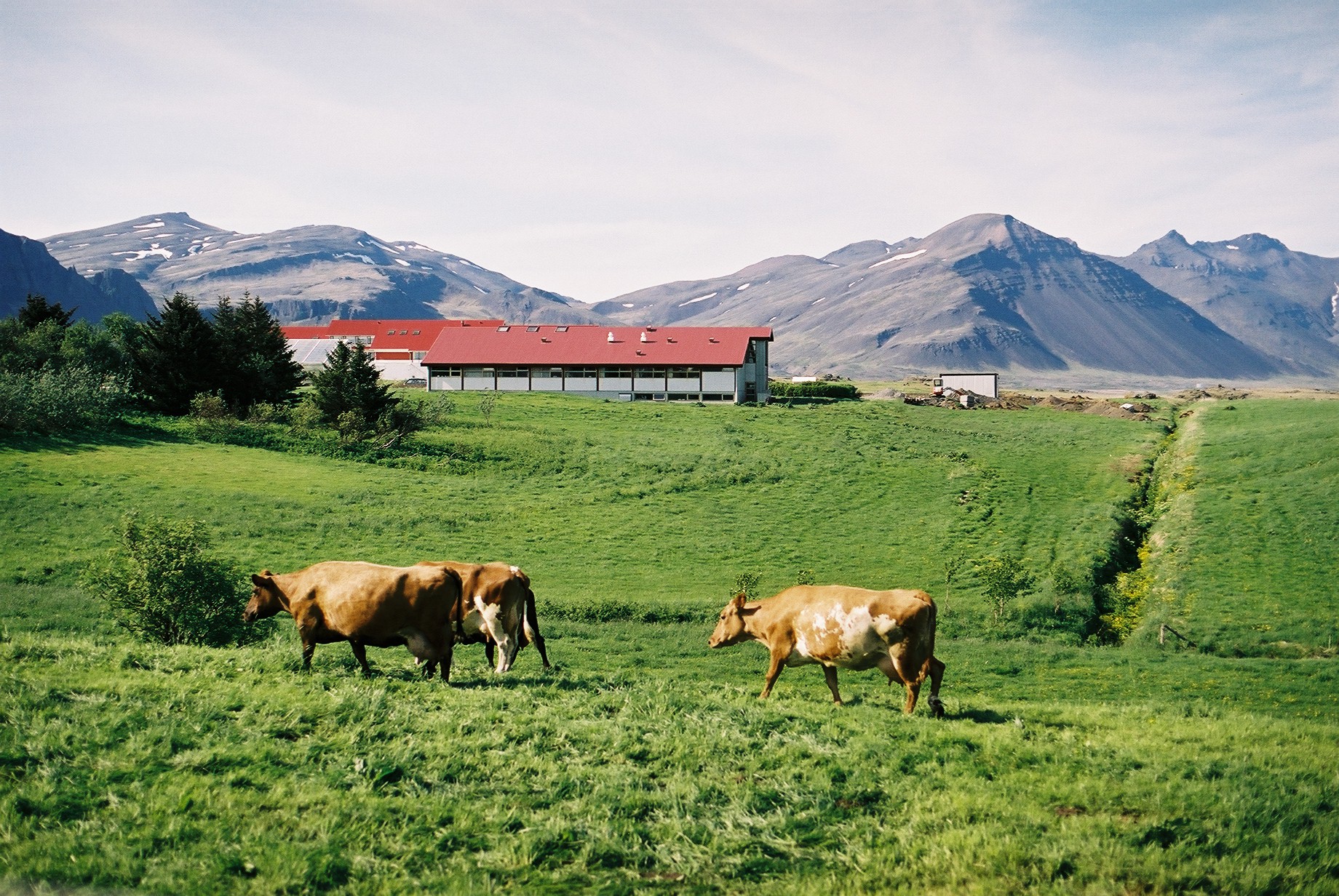 Aðeins 25 til 30 búfræðingar útskrifast á ári