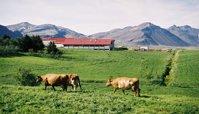 Aðeins 25 til 30 búfræðingar útskrifast á ári