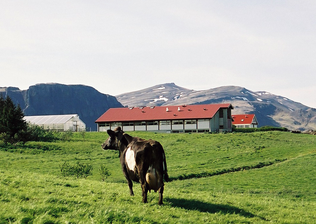 Góð aðsókn í starfsmenntanám