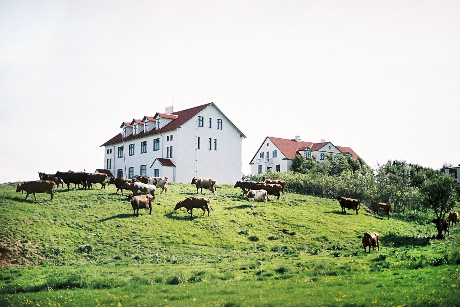 Yfirlýsing frá rektor og yfirstjórn LbhÍ