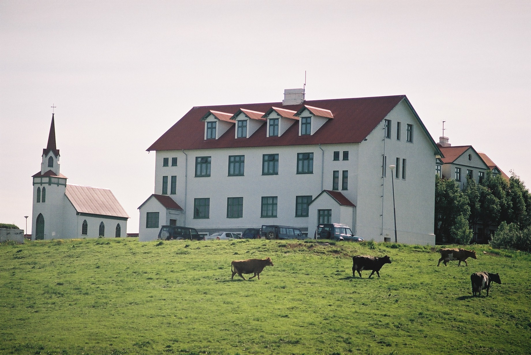 Sjö sóttu um stöðu rektors við Landbúnaðarháskóla Íslands