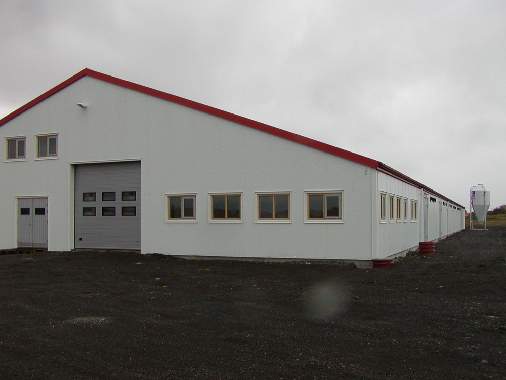 Hversu vel erum við bændur tryggðir?