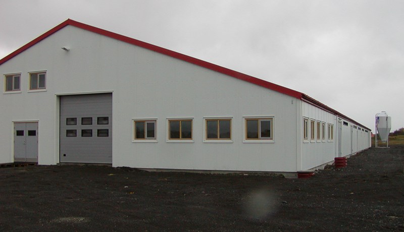 Hversu vel erum við bændur tryggðir?