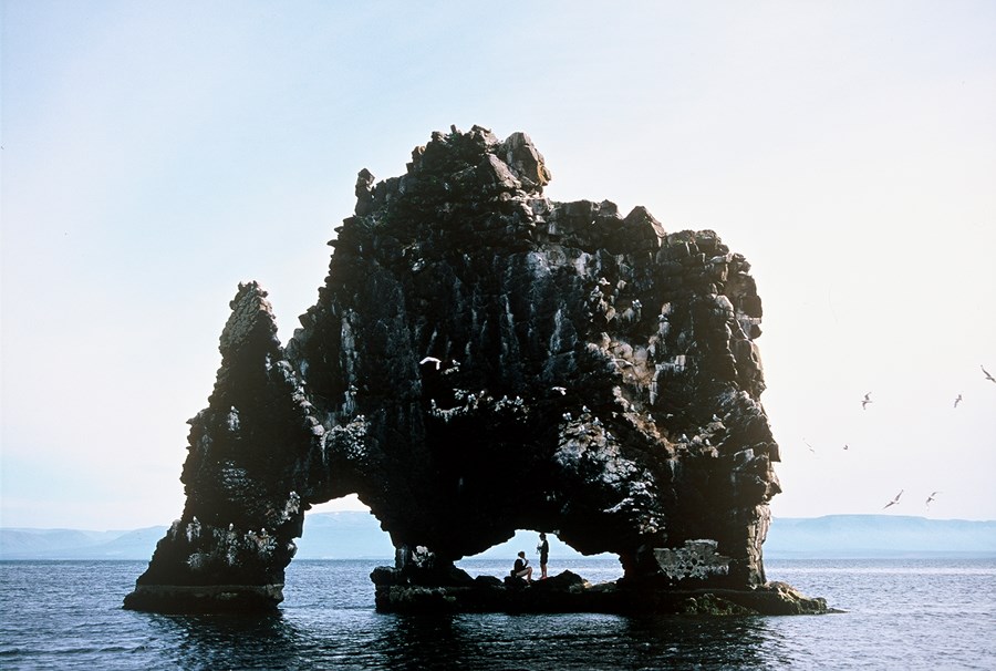 Hvítserkur er brimsorfinn 15 metra hár klettur í sjó við vestanverðan botn Húnafjarðar í Vestur-Húnavatnssýslu. Hann stendur rétt í flæðarmálinu, austan við Vatnsnesið. Hvítserkur er hvítur af fugladriti og er sennilegt að nafnið sé dregið af því.