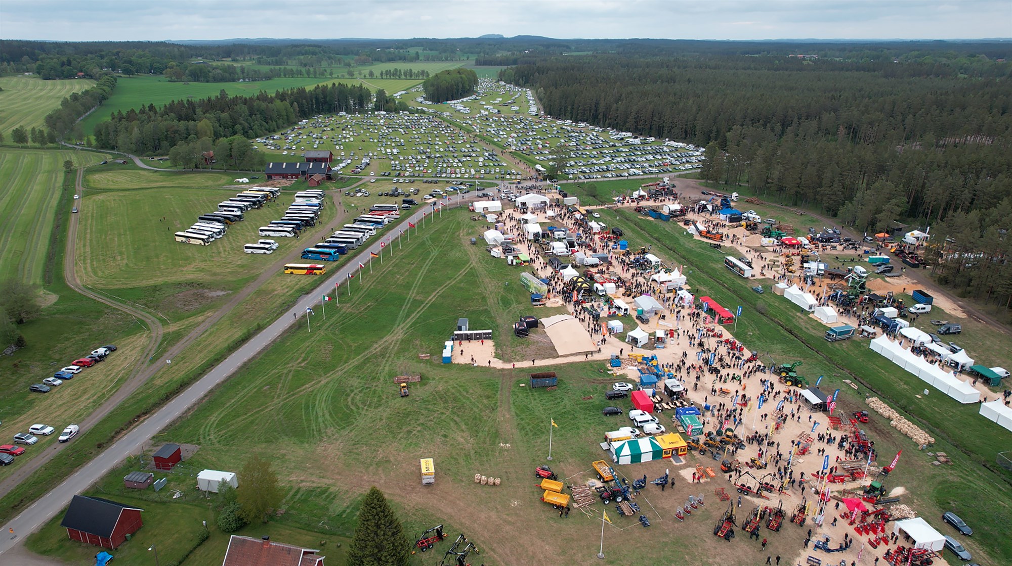 Alltaf stuð í skóginum