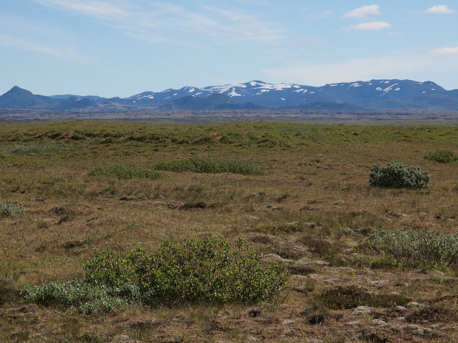 Ekki allt sem sýnist þegar horft er yfir uppgrætt land