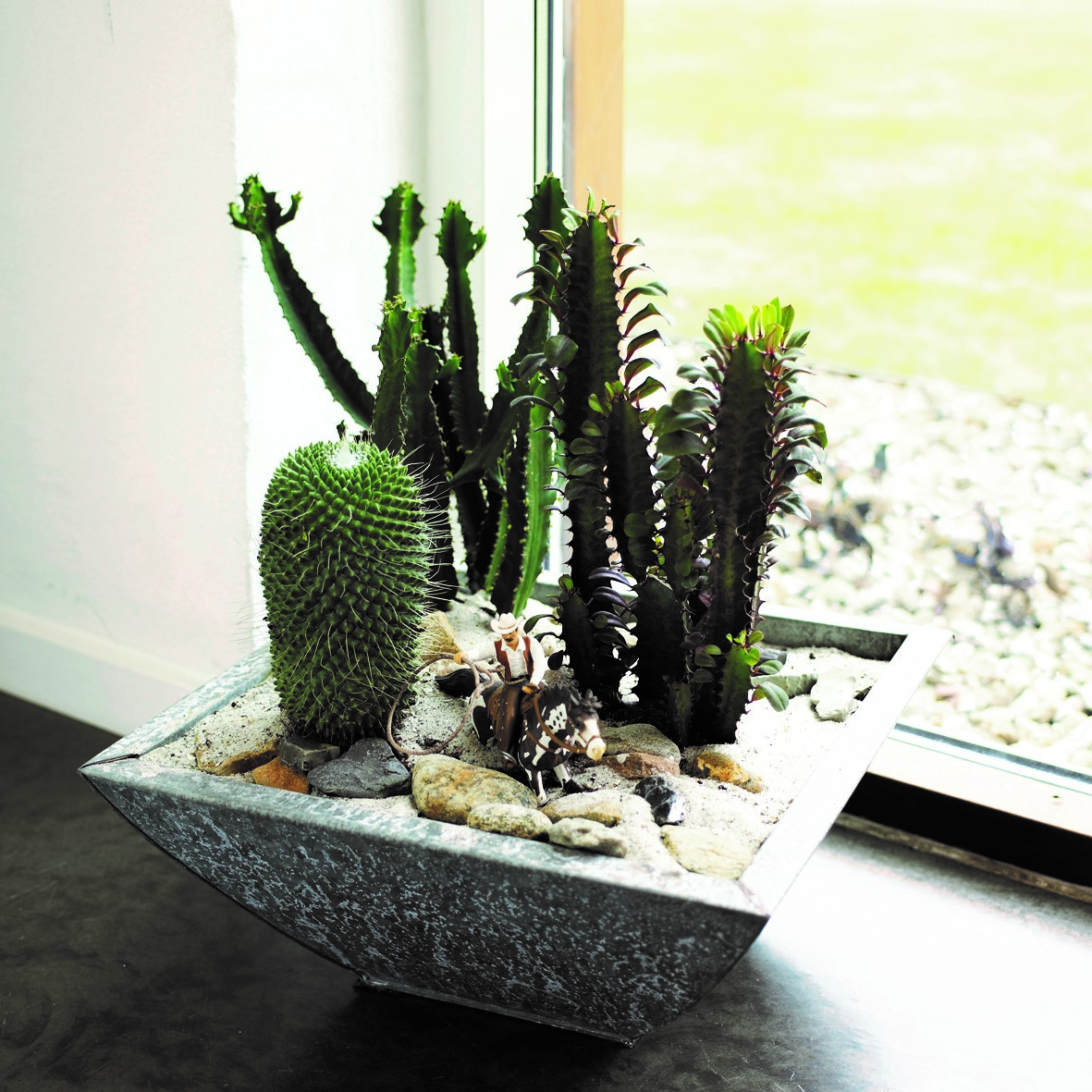 Pottaplöntur að sumri