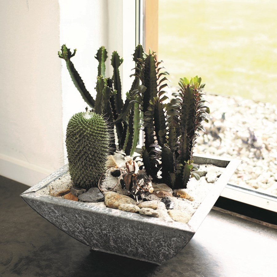 Í sumarfríinu þarf að fá góðan granna til að vökva plönturnar. 
Myndir / Floridana