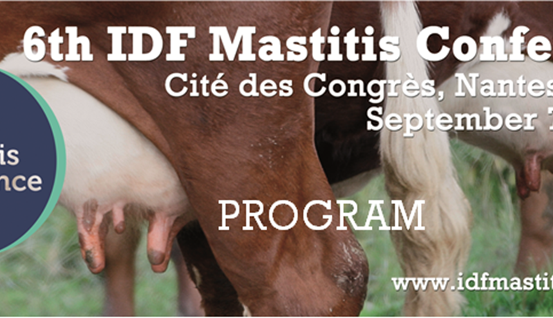 Sjötta Alþjóðlega júgurbólguráðstefna IDF