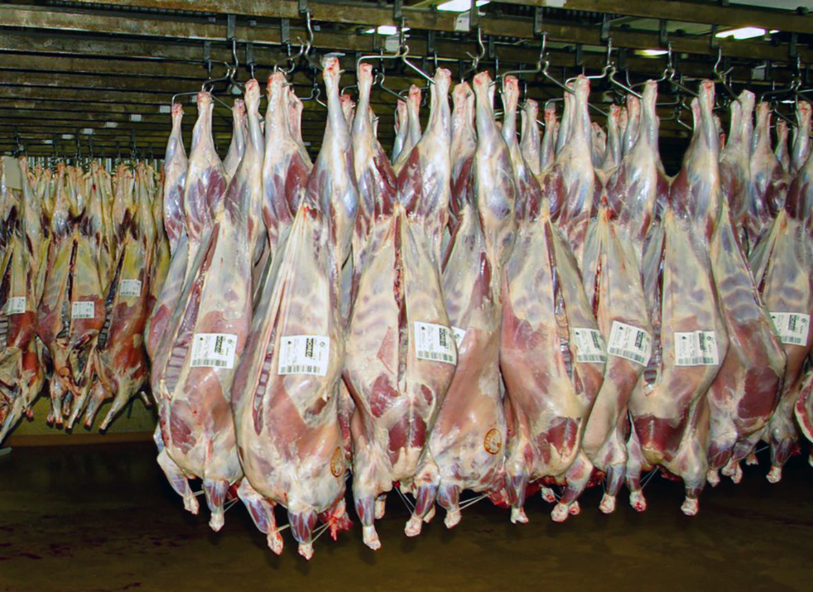 Kallar eftir sauðakjöti á íslenska markaðinn