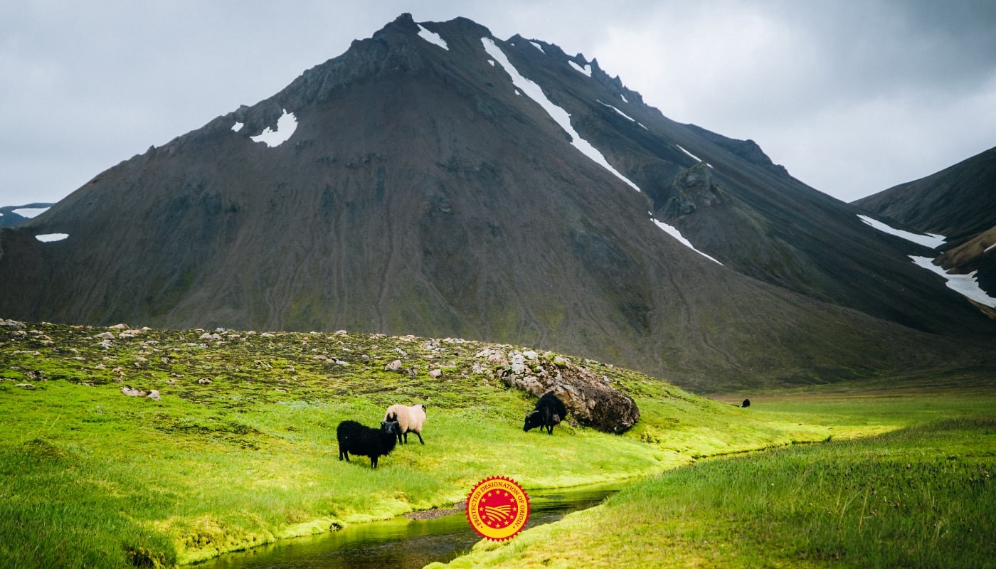 Komi þeir sem koma vilja!