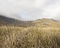 Kornrækt og jarðvinnsla