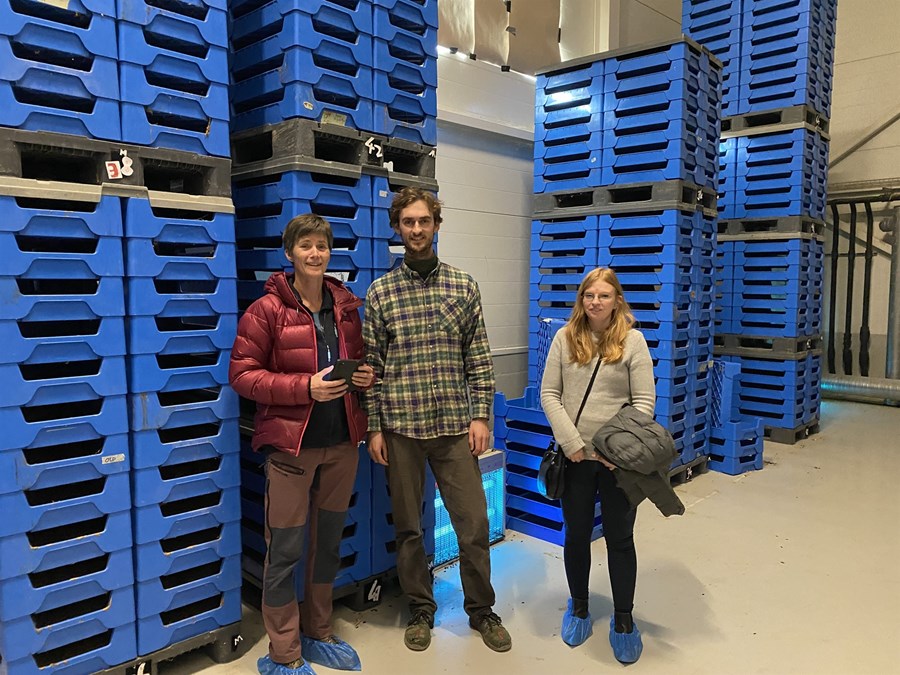 Gunnhild Jaastad frá Nibio, Jakob Irgens Blakstad frá Invertapro og Rúna Þrastardóttir, doktorsnemi við LbhÍ, skoða framleiðsluna hjá Invertapro.