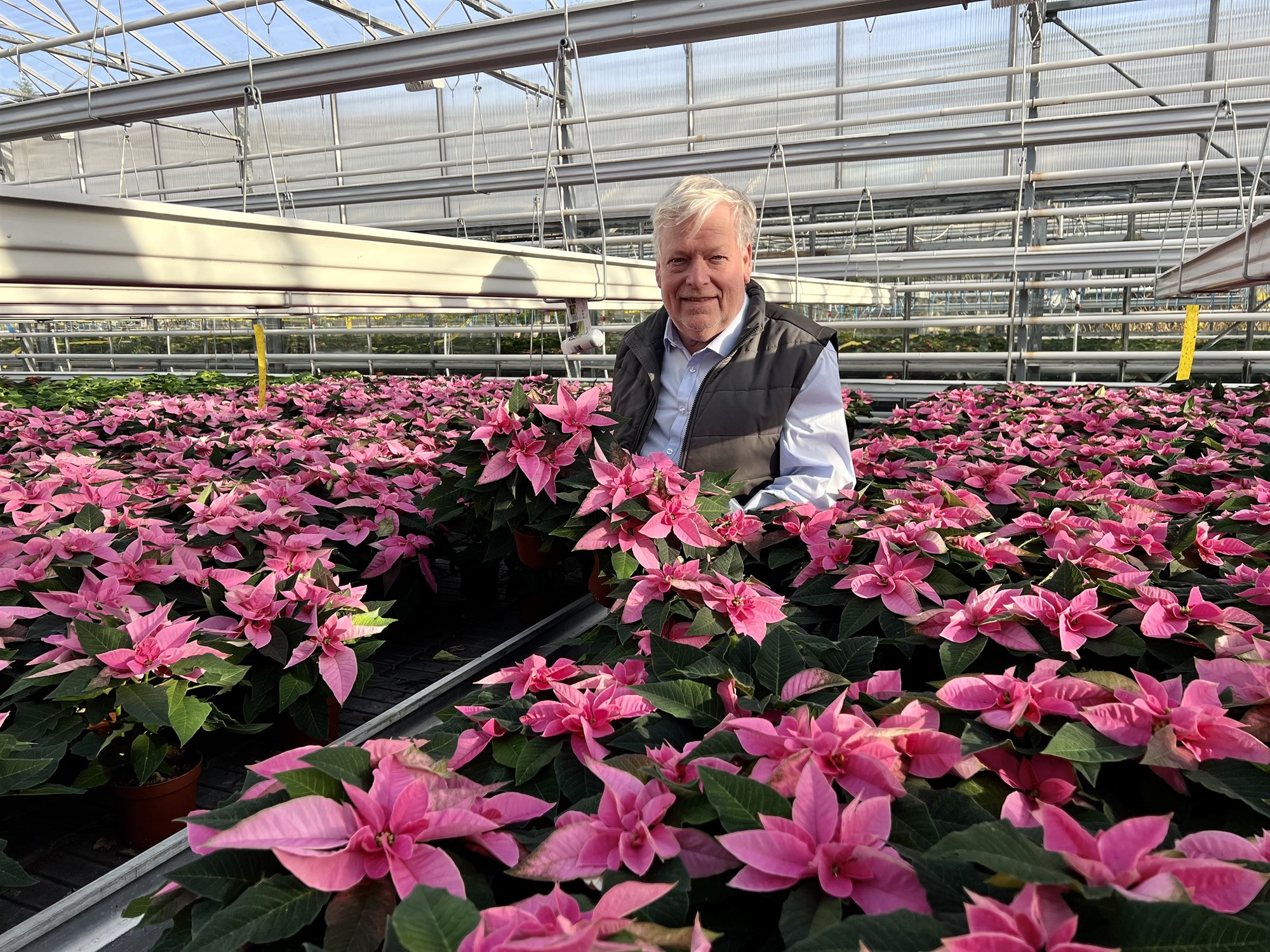 Fjögur þúsund Októberstjörnur