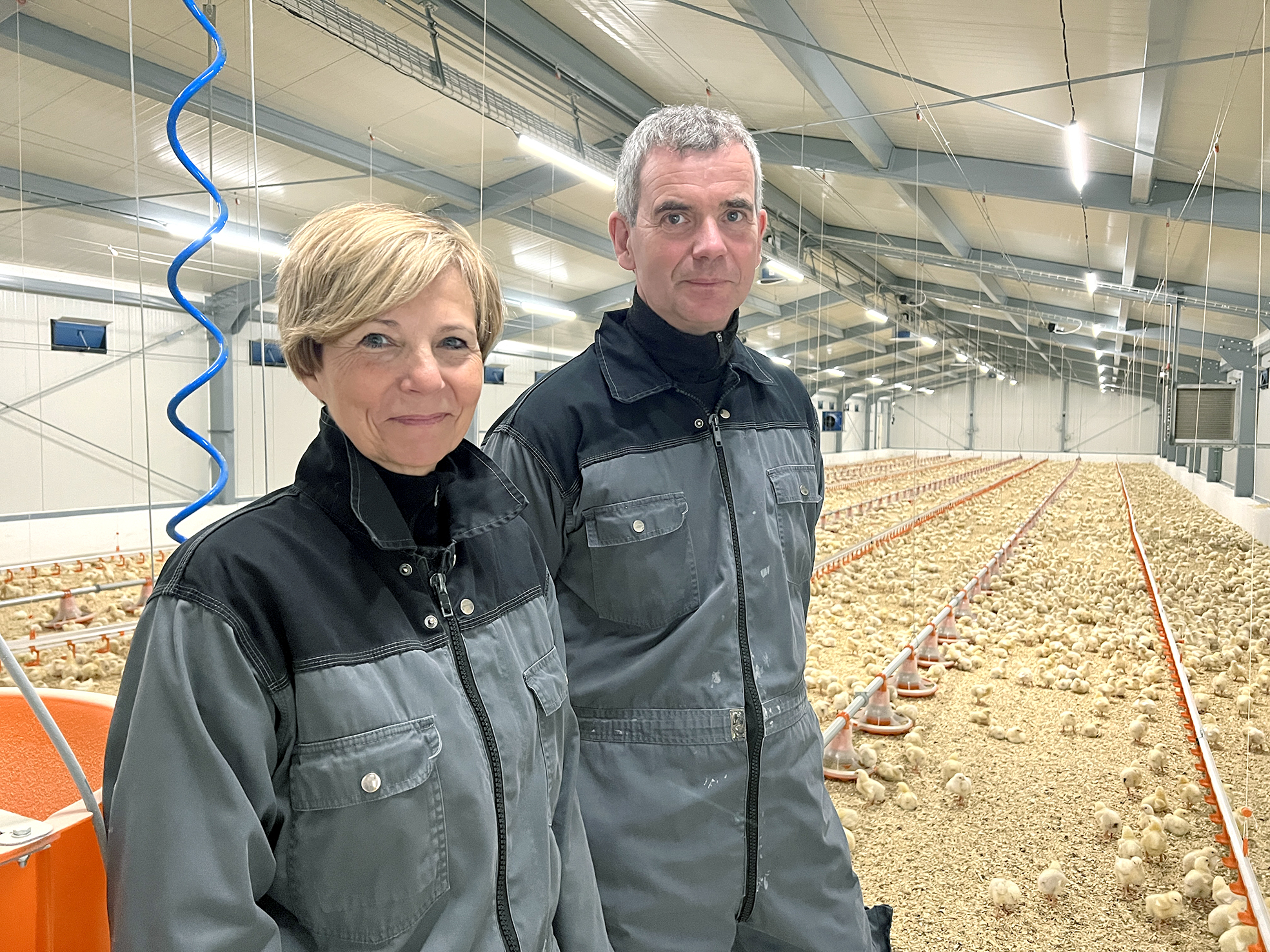 Íslensk kjúklingaframleiðsla getur annað allri innanlandsneyslu