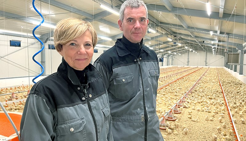 Íslensk kjúklingaframleiðsla getur annað allri innanlandsneyslu