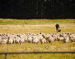 Á uppleið eftir áratuga niðursveiflu