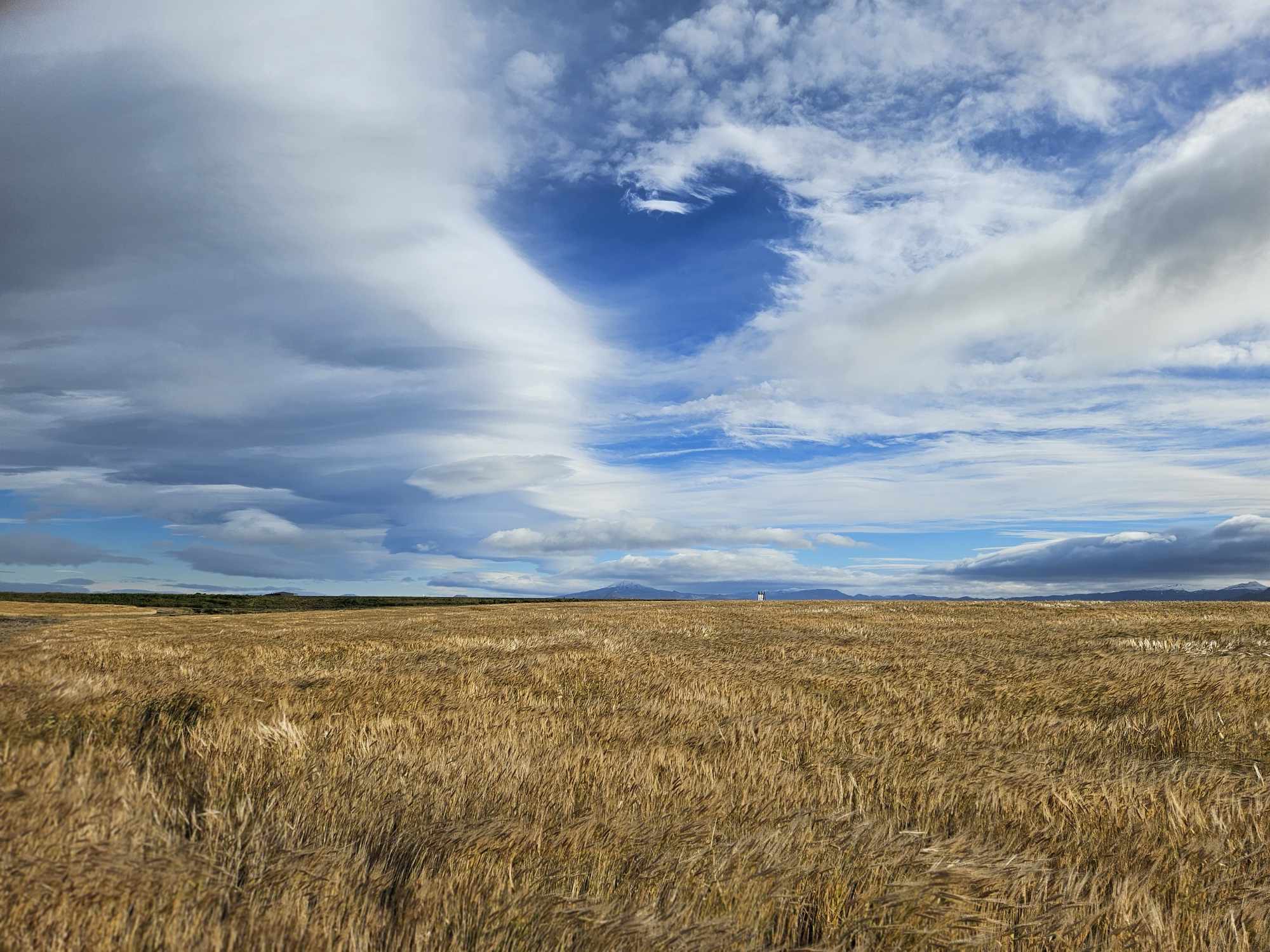 Nýtt rannsóknarverkefni í byggkynbótum